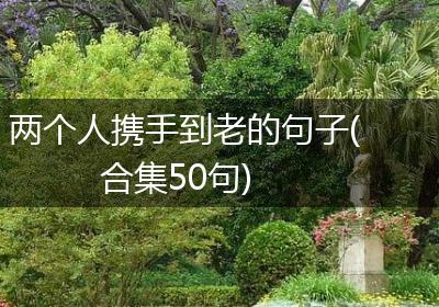 两个人携手到老的句子(合集50句)