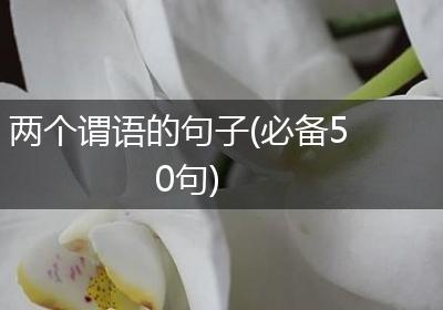 两个谓语的句子(必备50句)
