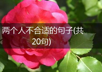 两个人不合适的句子(共20句)