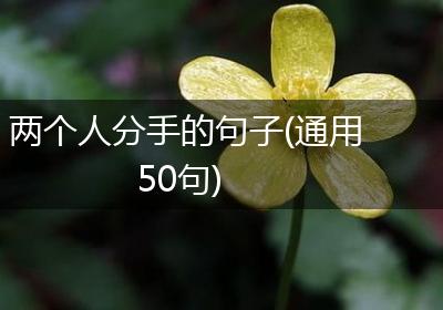 两个人分手的句子(通用50句)