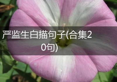 严监生白描句子(合集20句)