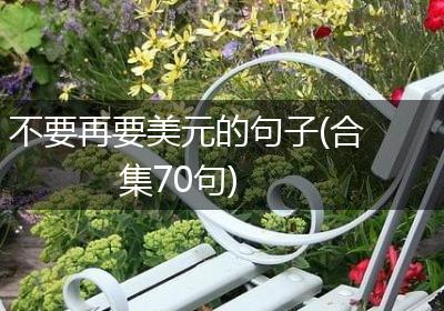 不要再要美元的句子(合集70句)