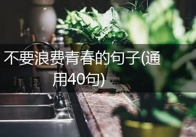 不要浪费青春的句子(通用40句)