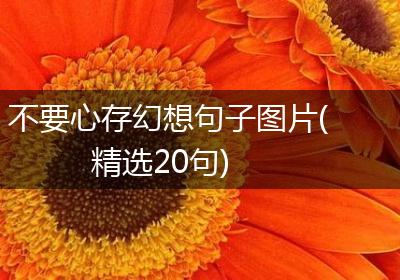 不要心存幻想句子图片(精选20句)