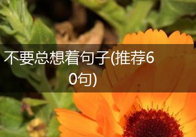 不要总想着句子(推荐60句)