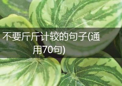 不要斤斤计较的句子(通用70句)