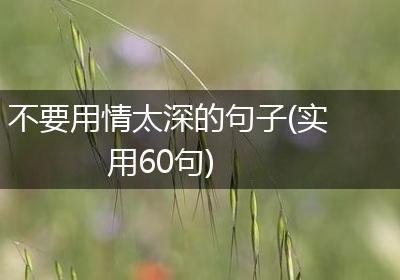 不要用情太深的句子(实用60句)