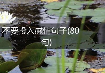 不要投入感情句子(80句)