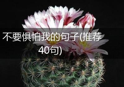不要惧怕我的句子(推荐40句)