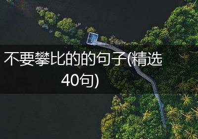 不要攀比的的句子(精选40句)
