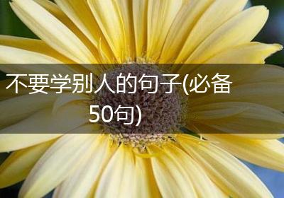 不要学别人的句子(必备50句)