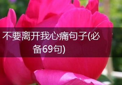 不要离开我心痛句子(必备69句)