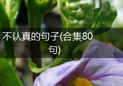 不认真的句子(合集80句)