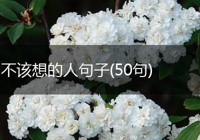 不该想的人句子(50句)