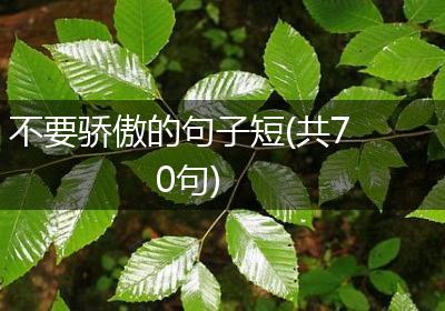 不要骄傲的句子短(共70句)