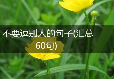 不要逗别人的句子(汇总60句)