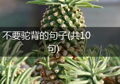 不要驼背的句子(共10句)