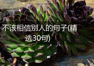 不该相信别人的句子(精选30句)
