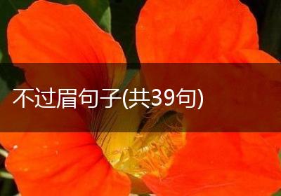 不过眉句子(共39句)