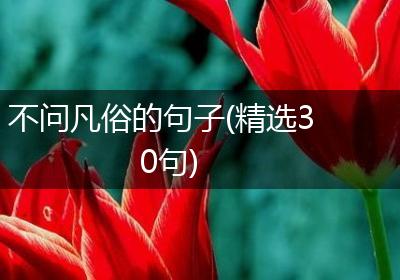 不问凡俗的句子(精选30句)