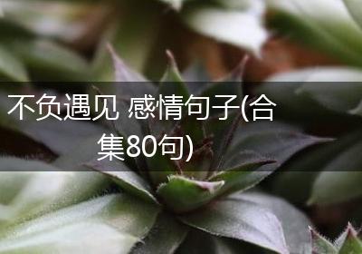 不负遇见 感情句子(合集80句)