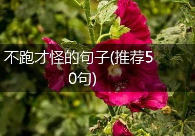 不跑才怪的句子(推荐50句)