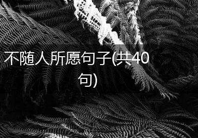 不随人所愿句子(共40句)