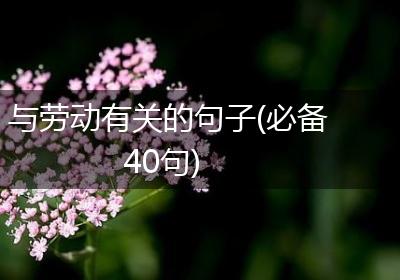 与劳动有关的句子(必备40句)