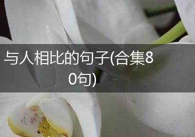 与人相比的句子(合集80句)