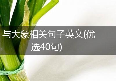 与大象相关句子英文(优选40句)