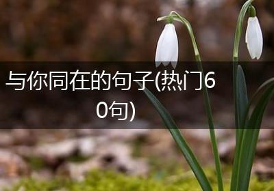 与你同在的句子(热门60句)
