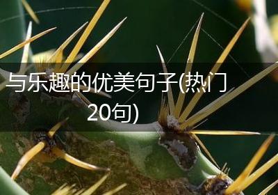 与乐趣的优美句子(热门20句)