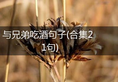 与兄弟吃酒句子(合集21句)