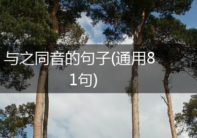 与之同音的句子(通用81句)