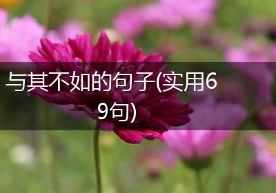 与其不如的句子(实用69句)