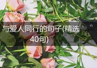 与爱人同行的句子(精选40句)