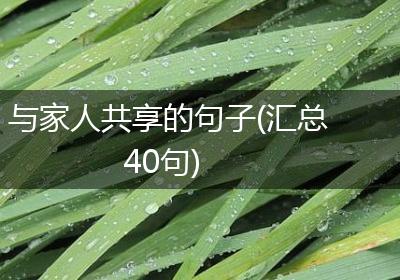 与家人共享的句子(汇总40句)