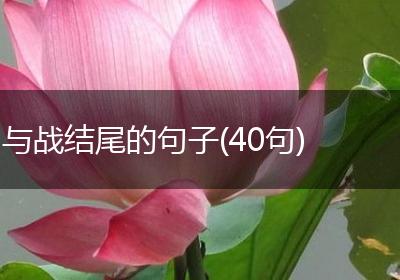 与战结尾的句子(40句)