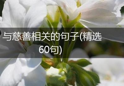 与慈善相关的句子(精选60句)