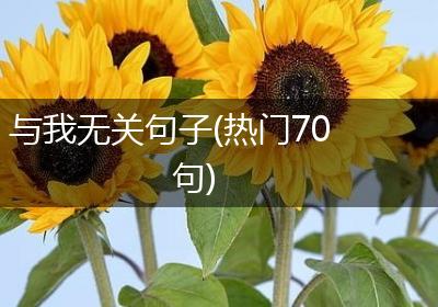 与我无关句子(热门70句)