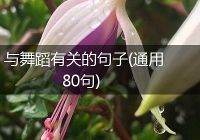 与舞蹈有关的句子(通用80句)
