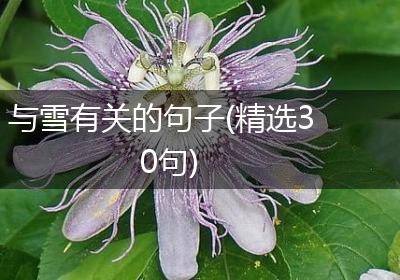 与雪有关的句子(精选30句)
