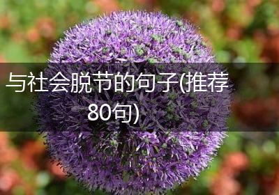 与社会脱节的句子(推荐80句)