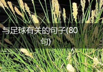 与足球有关的句子(80句)