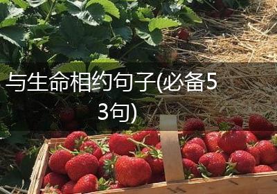 与生命相约句子(必备53句)