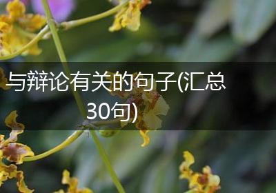 与辩论有关的句子(汇总30句)