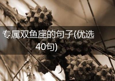 专属双鱼座的句子(优选40句)