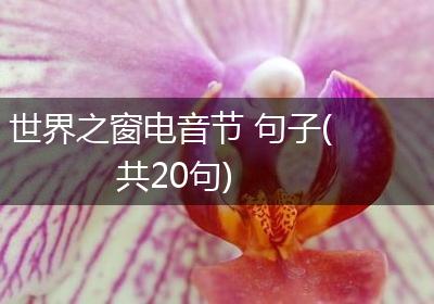 世界之窗电音节 句子(共20句)