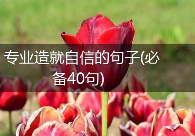 专业造就自信的句子(必备40句)