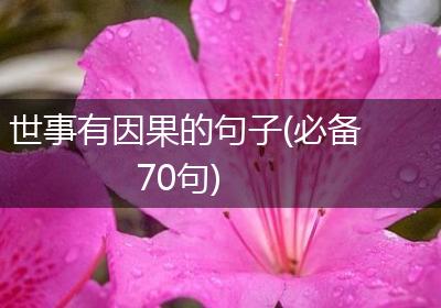 世事有因果的句子(必备70句)